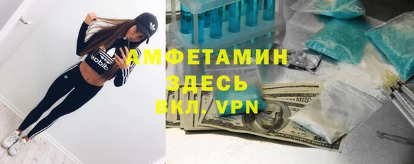 соль ск Дмитров