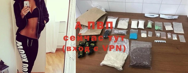 соль ск Дмитров