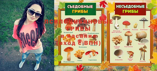 соль ск Дмитров