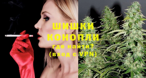 соль ск Дмитров