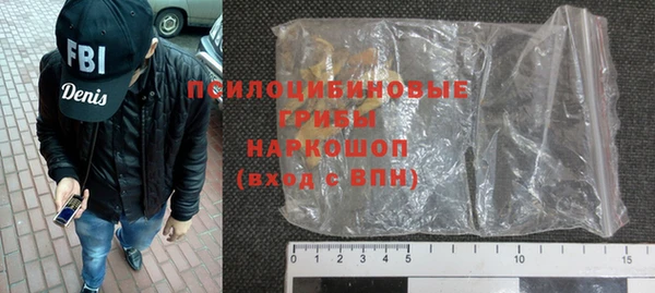 соль ск Дмитров