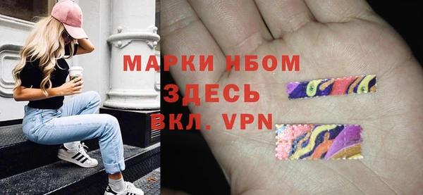 соль ск Дмитров