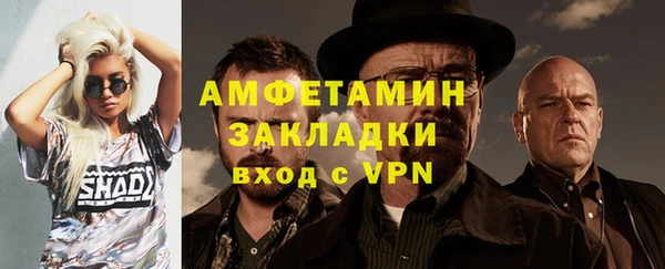 соль ск Дмитров