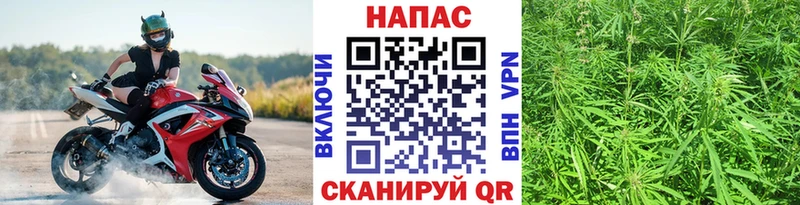 Конопля планчик  купить наркотики цена  Златоуст 